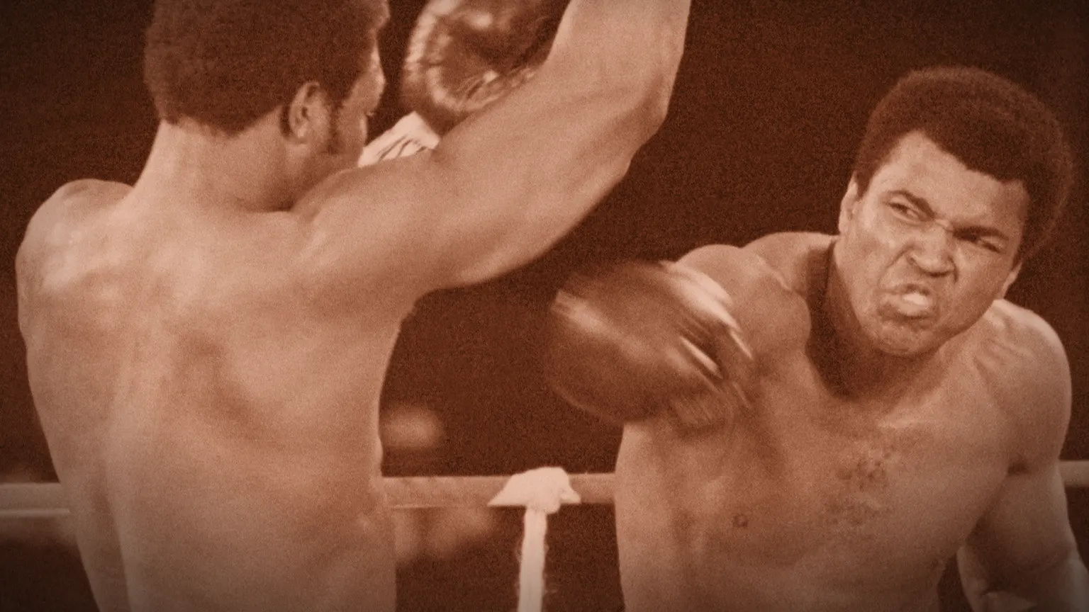 30 octobre 1974 : à Kinshasa, Mohamed Ali reprend son titre et l'Afrique devient le centre du monde