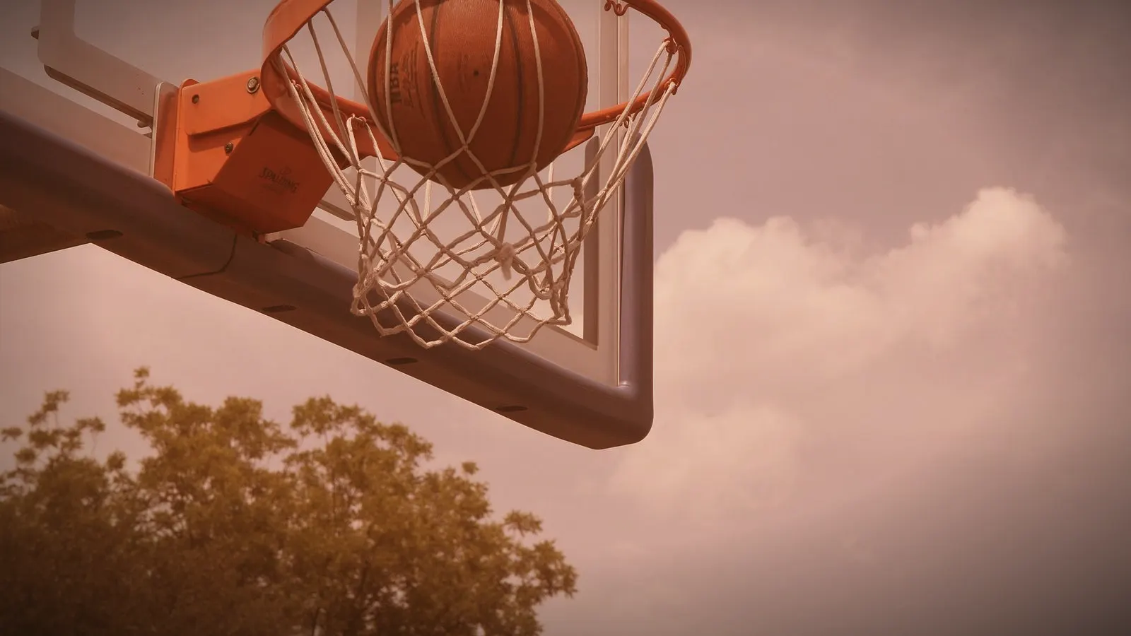 Basket : la Sénégalaise Aminata Seck libérée après près de deux mois de détention par l'ICE