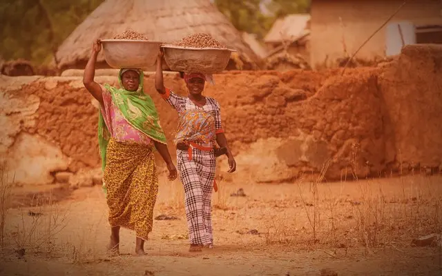 Karité : l'Afrique de l'Ouest ferme ses frontières aux amandes pour garder le beurre et la valeur