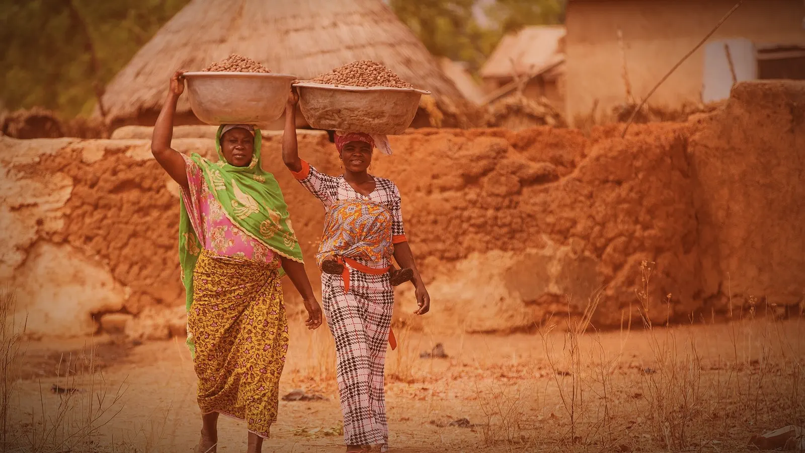 Shea: West Africa closes borders to kernels to keep the butter and the value