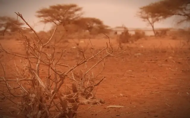 Kenya: In Nyeri, one-third of a psychologist's patients are farmers ruined by the weather