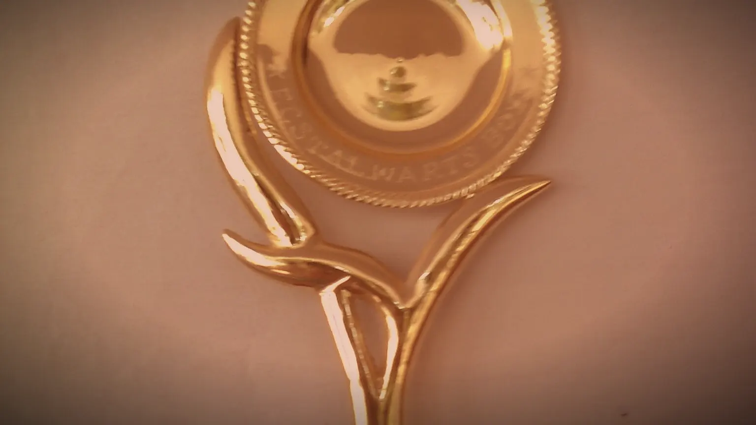 NAACP Image Awards : dix catégories africaines créées, les créateurs des 55 pays du continent ont jusqu'au 13 novembre