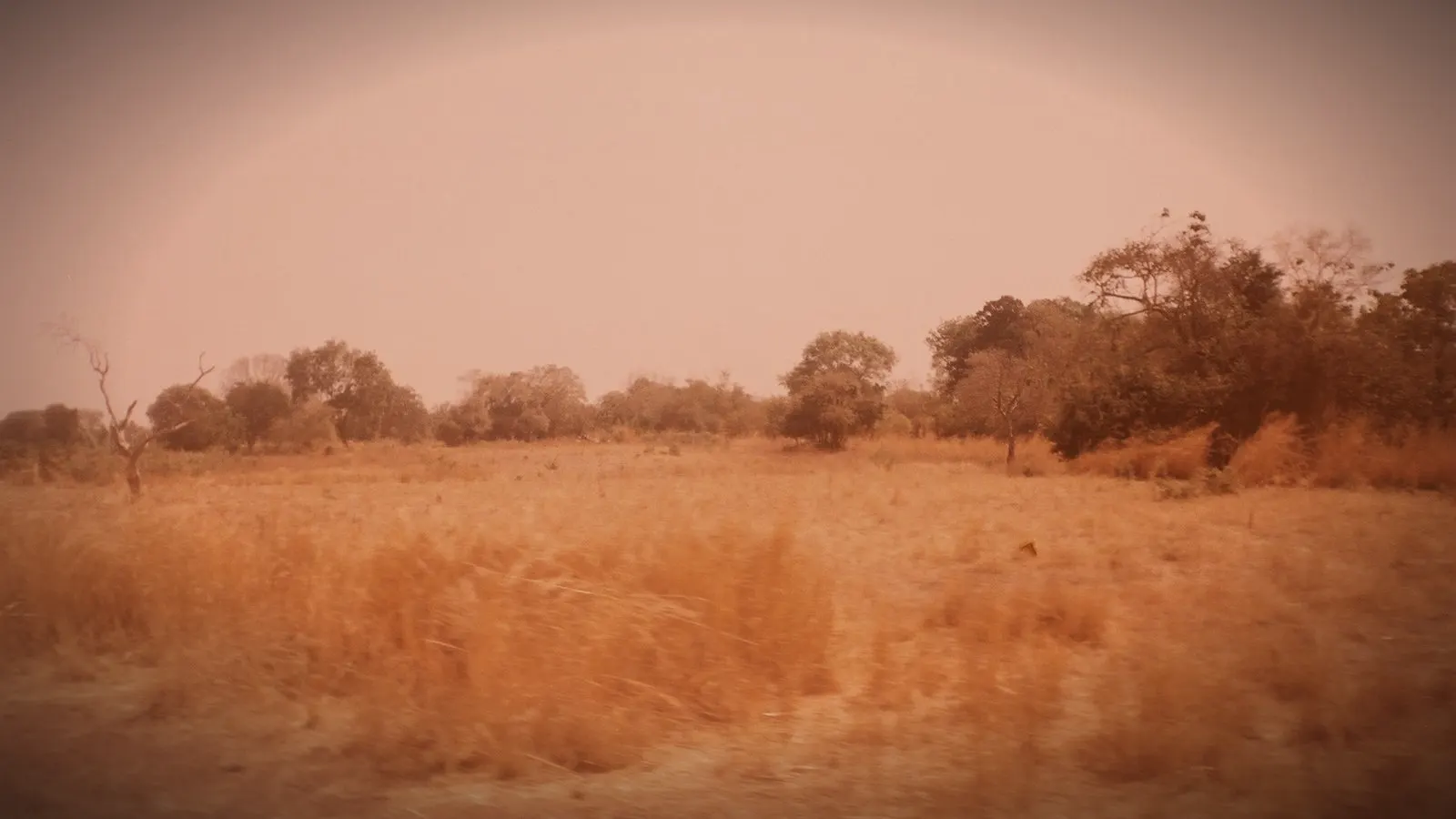 Sudan: El-Fasher hospitals deliberately targeted by the RSF